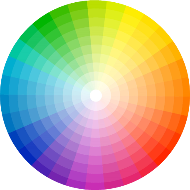 color palette