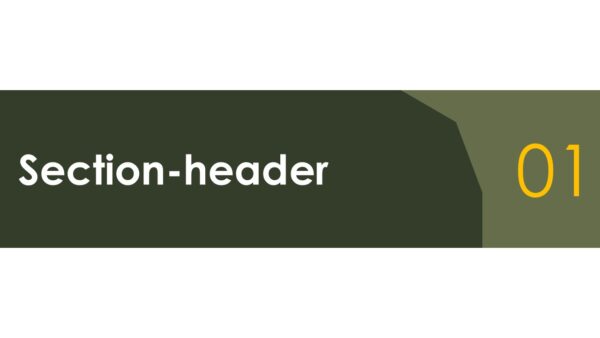 Elegant Company Profile Template (20 Slides) - Image 4