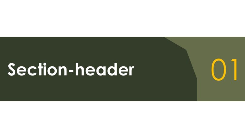 Elegant Company Profile Template (20 Slides) - Image 4