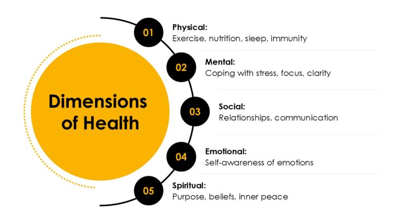 Health Care PowerPoint Template (20 Slides) - Image 9